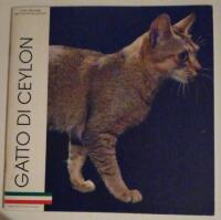 Gatto di Ceylon