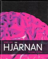 Kort om Hj&auml;rnan