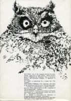 Irish Masters of Fantasy