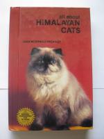 All about Himalayan Cats