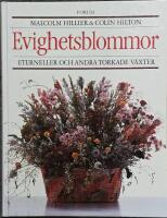 Evighetsblommor