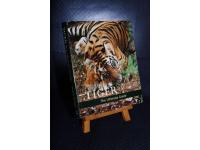 Tiger - the ultimate guide