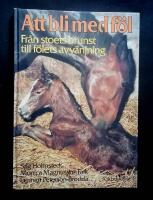 Att bli med f&ouml;l : fr&aring;n stoets brunst till f&ouml;lets avv&auml;njning