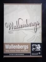 Wallenbergs. M&auml;ktiga, beundrade, fruktade, hemlighetsfulla