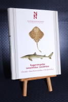 Ryggstr&auml;ngsdjur : lansettfiskar-broskfiskar - Chordata : branchiostomatidae-chondrichthyes