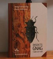 INSEKTSGNAG i bark och ved