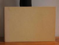 Flugor och flugbindning