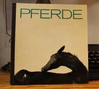 Pferde
