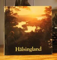 H&auml;lsingland