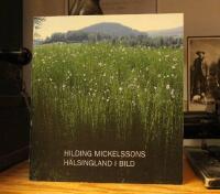 Hilding Mickelssons H&auml;lsningland i bild