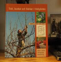 Tr&auml;d. Buskar och h&auml;ckar i tr&auml;dg&aring;rden