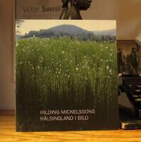 Hilding Mickelssons H&auml;lsningland i bild