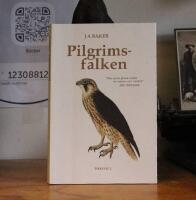 Pilgrimsfalken
