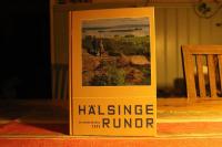 H&auml;lsingerunor 2000