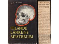 Felande l&auml;nkens mysterium.