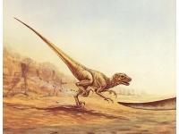 Dinosauriernas g&aring;ta.