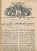 Die Natur. 40. Jahrgang.