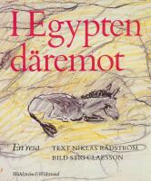 I Egypten d&auml;remot.