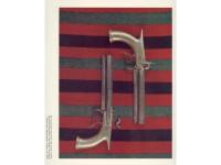 Print of antique guns.