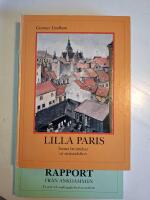 Lilla Paris - sanna ber&auml;ttelser ur sm&aring;stadslivet