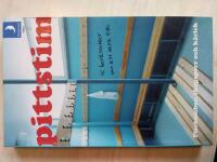 Pittstim : 15 ber&auml;ttelser om att vara kille