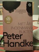 Mitt &aring;r i Ingenmansbukten : en saga fr&aring;n de nya tiderna