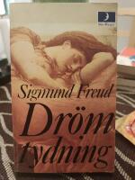 Dr&ouml;mtydning