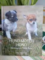 Hund m&ouml;ter hund