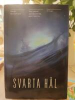 Svarta h&aring;l : teorierna, uppt&auml;ckterna, m&auml;nniskorna