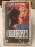 Sprickan : dr&ouml;mmen om Europa