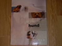 Hund : allt du beh&ouml;ver veta