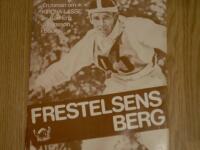 Frestelsens berg : en roman om Kiruna-Lasse