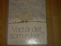 Vad &auml;r det som ryker?
