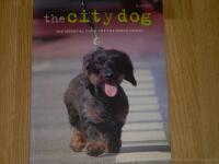 The City Dog