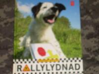 Rallylydnad