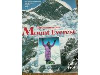 Dr&ouml;mmen om Mount Everest De f&ouml;rsta svenskarna p&aring; v&auml;rldens h&ouml;gsta berg