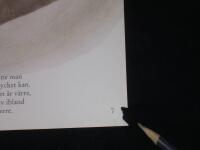 Sagan om Karlknut : en masks historia