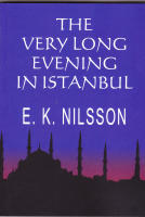 The Very Long Evening In Istanbul