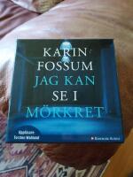 Jag kan se i m&ouml;rkret