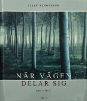 N&auml;r v&auml;gen delar sig : boken om Maria : [roman]