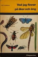 Vad jag finner p&aring; &aring;ker och &auml;ng.