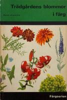 Tr&auml;dg&aring;rdens blommor i f&auml;rg.