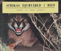 Afrikas djurv&auml;rld i bild