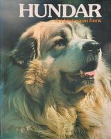 Hundar : det b&auml;sta som finns