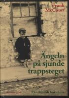 &Auml;ngeln p&aring; sjunde trappsteget : en irl&auml;ndsk barndom