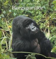 Bergsgorillor