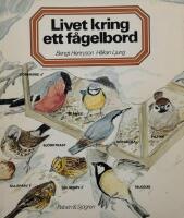 Livet kring ett fågelbord