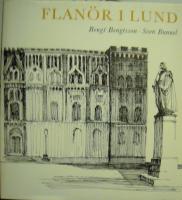 Flan&ouml;r i Lund.
