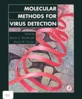 Molecular methods for virus detection
