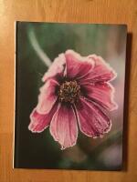 Bl&aring;b&auml;rssn&aring;r, &auml;ppelskrutt och rabarberskugga : bakning och k&auml;nslor genom naturen